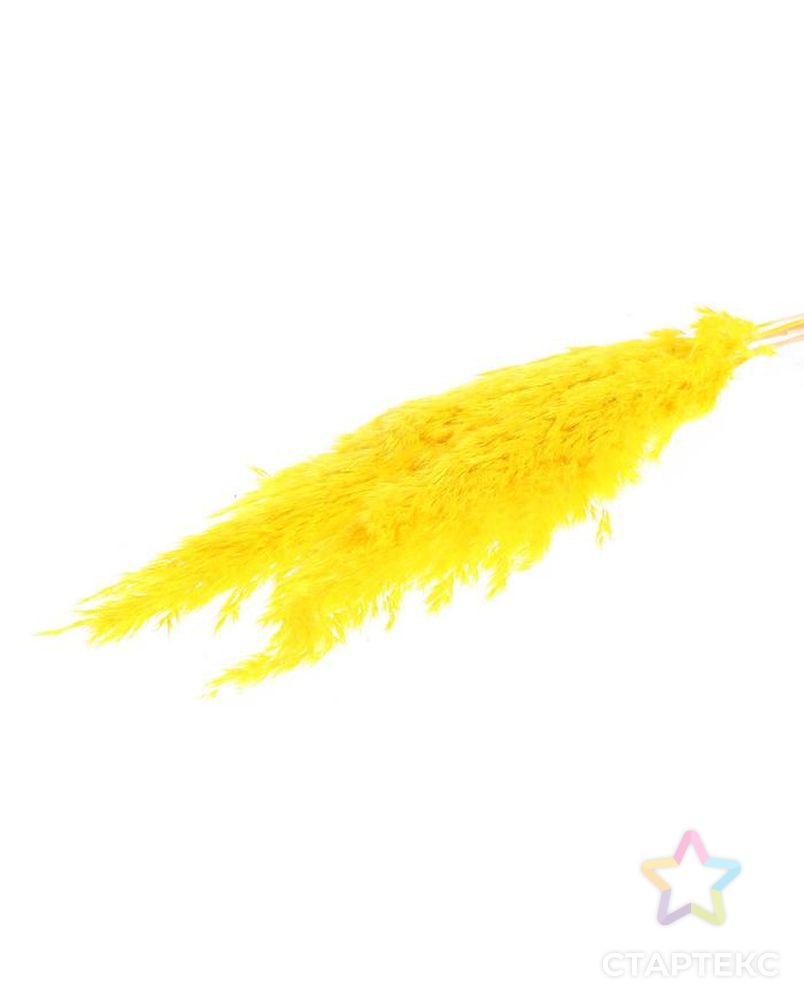 Сухоцвет "Пампасная трава" набор 5 шт, цвет желтый арт. СМЛ-171104-1-СМЛ0006972084