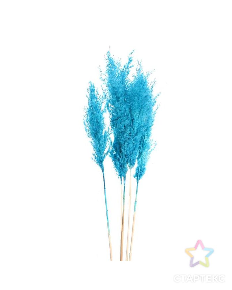 Сухоцвет "Пампасная трава" набор 5 шт, цвет голубой арт. СМЛ-171106-1-СМЛ0006972086