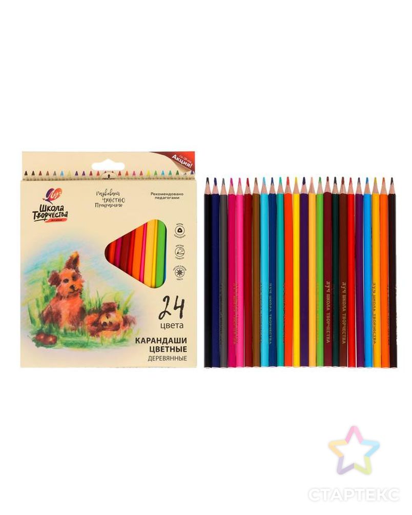 Цветные карандаши 24 цвета «Школа Творчества», трёхгранные арт. СМЛ-180903-1-СМЛ0006988513 1