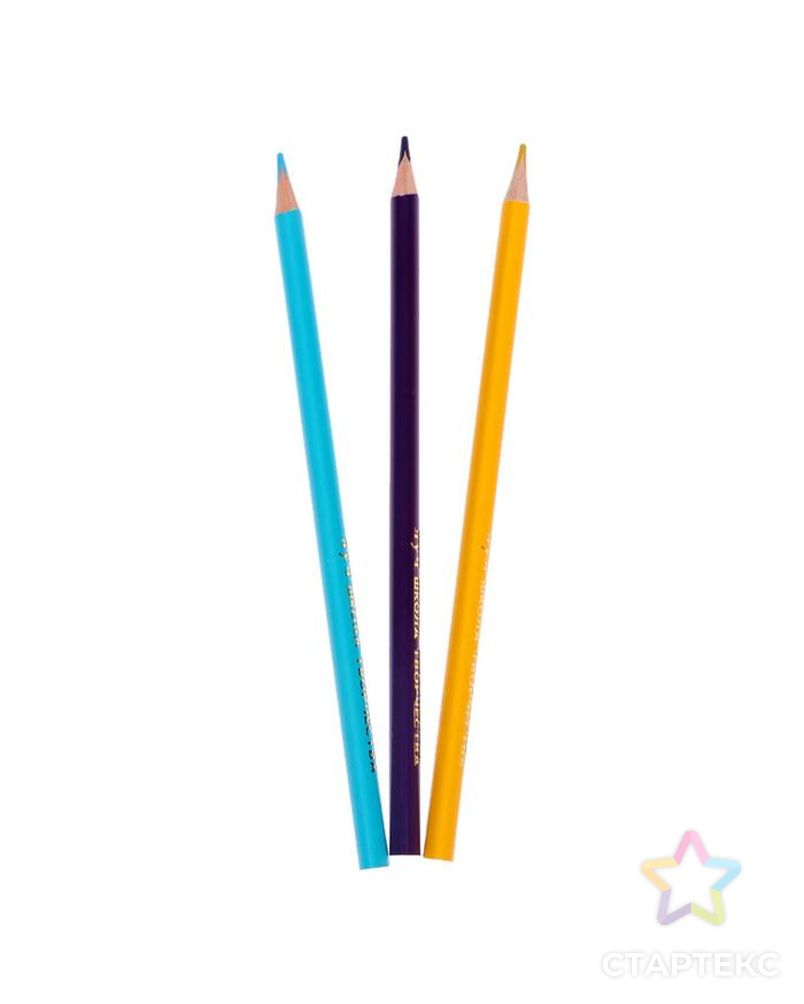 Цветные карандаши 24 цвета «Школа Творчества», трёхгранные арт. СМЛ-180903-1-СМЛ0006988513 4