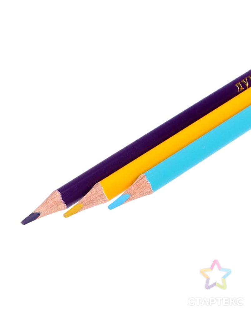 Цветные карандаши 24 цвета «Школа Творчества», трёхгранные арт. СМЛ-180903-1-СМЛ0006988513 5