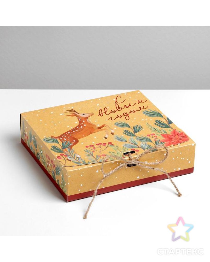 Коробка складная двухсторонняя «Новогодняя ботаника», 20 × 18 × 5 см арт. СМЛ-163790-1-СМЛ0007007609 2