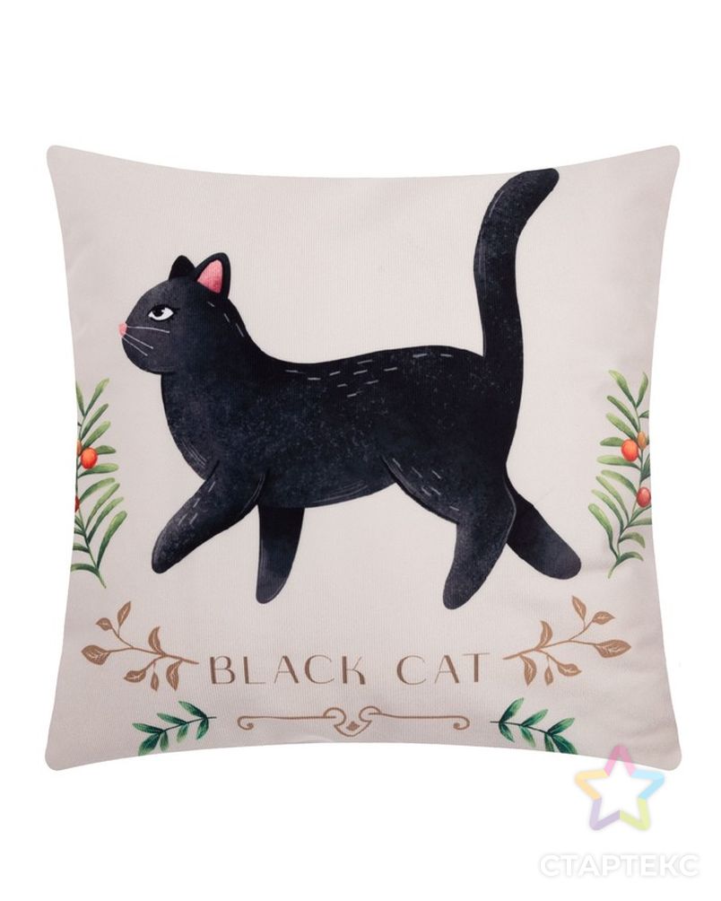 Чехол на подушку Этель "Black cat" 40х40 см, 100% п/э, велюр арт. СМЛ-189749-1-СМЛ0007029993