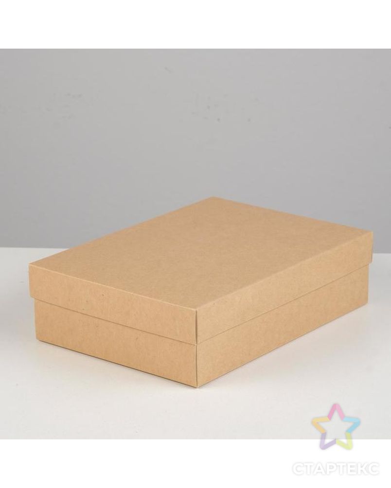 Коробка картонная без окна, крафт, 21 х 15 х 5 см, набор 5 шт. арт. СМЛ-157526-1-СМЛ0007041822 2