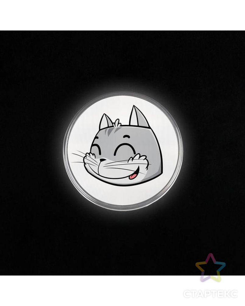 Значок светоотражающий "Кот" арт. СМЛ-167486-1-СМЛ0007044287