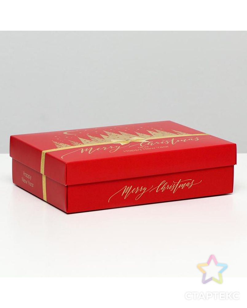 Подарочная коробка "Merry Christmas", красная, 21 х 15 х 5,7 см арт. СМЛ-161269-1-СМЛ0007063711 2