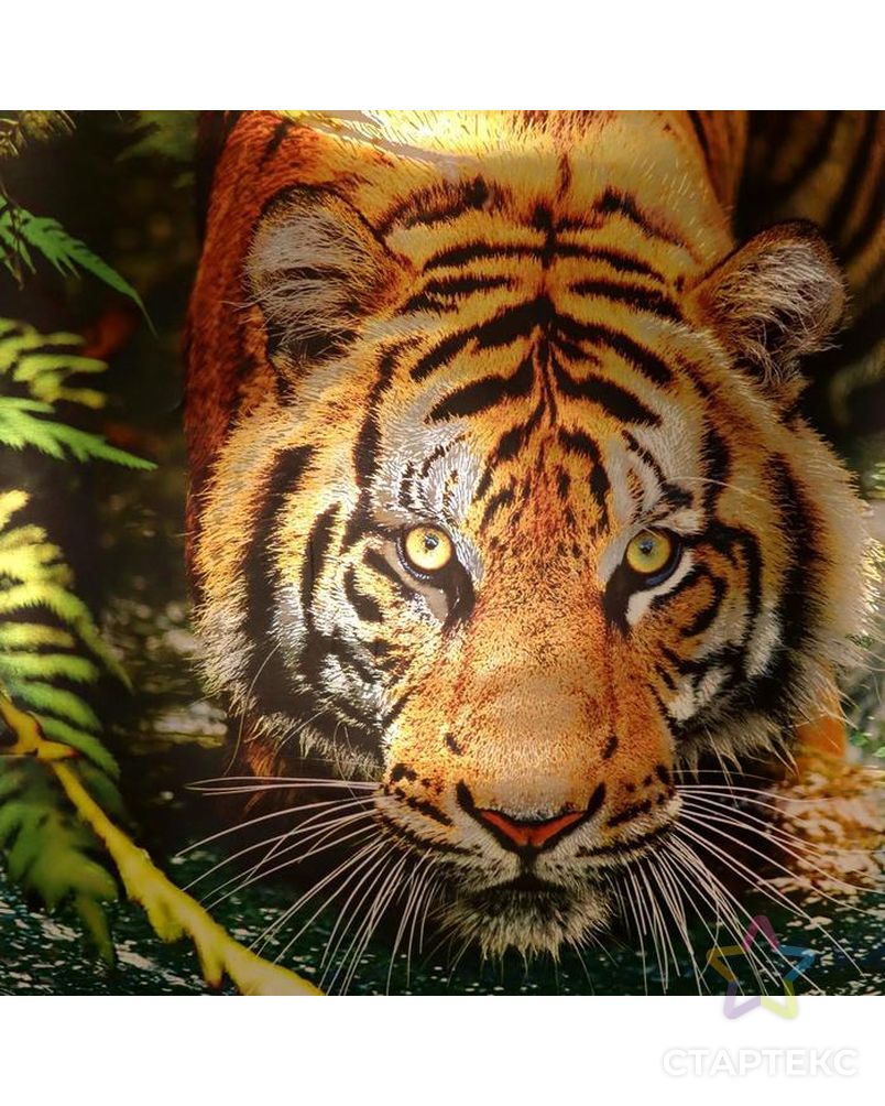Постер "Тигр" тиснение фольгой, упаковка в тубус, 500х700 мм арт. СМЛ-158101-1-СМЛ0007081924