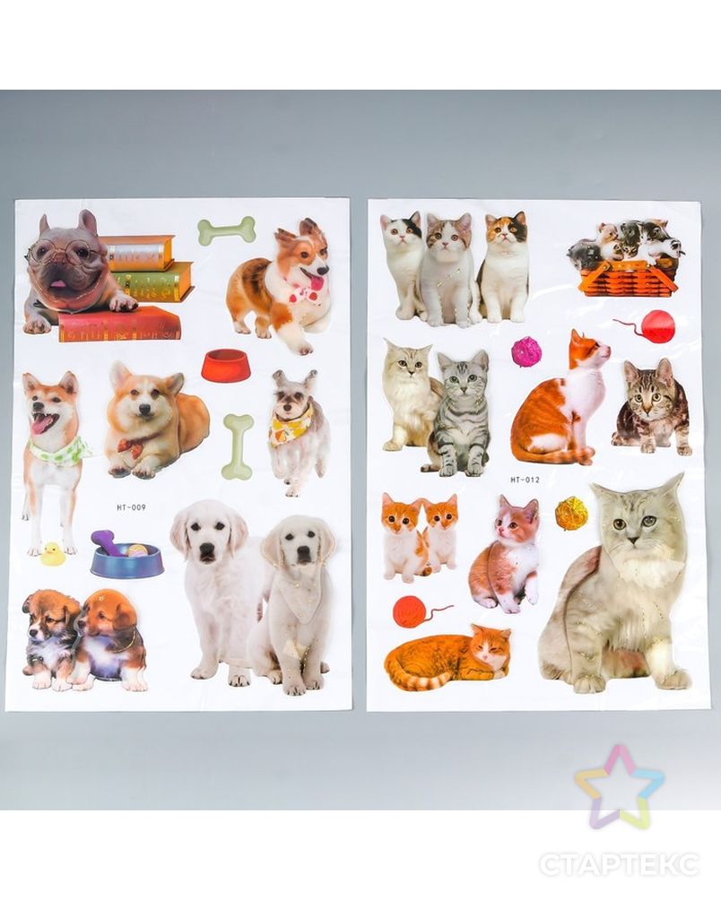Наклейка пластик 2D "Кошки и собаки" МИКС 54х35,5 см арт. СМЛ-210836-1-СМЛ0007100111 1