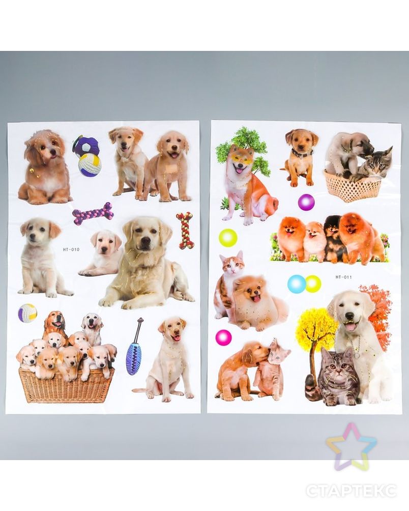 Наклейка пластик 2D "Кошки и собаки" МИКС 54х35,5 см арт. СМЛ-210836-1-СМЛ0007100111 2