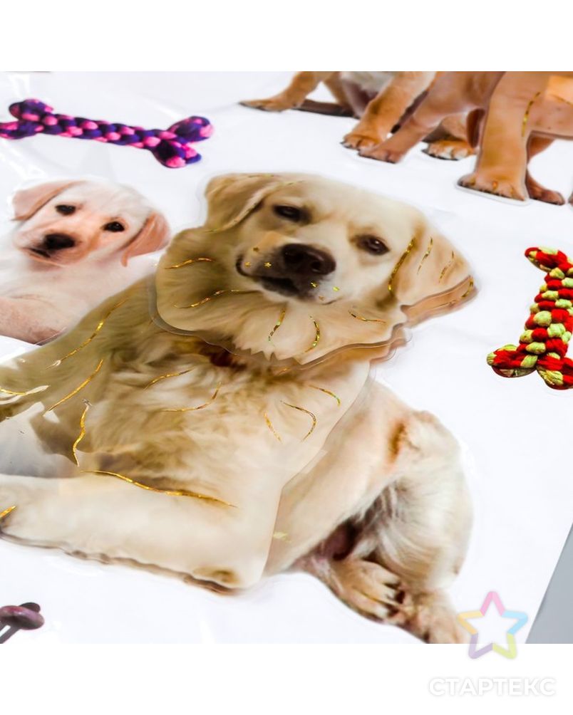 Наклейка пластик 2D "Кошки и собаки" МИКС 54х35,5 см арт. СМЛ-210836-1-СМЛ0007100111 4