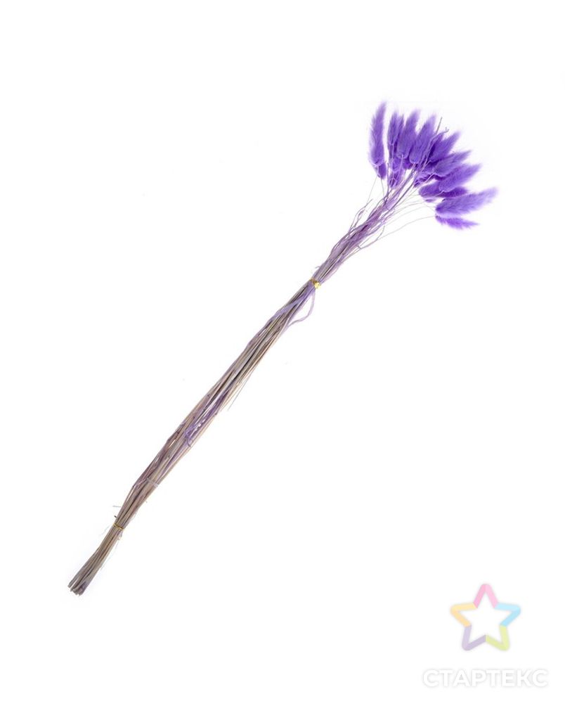 Сухие цветы лагуруса, набор 30 шт, цвет светло фиолетовый арт. СМЛ-216008-1-СМЛ0007123627 3