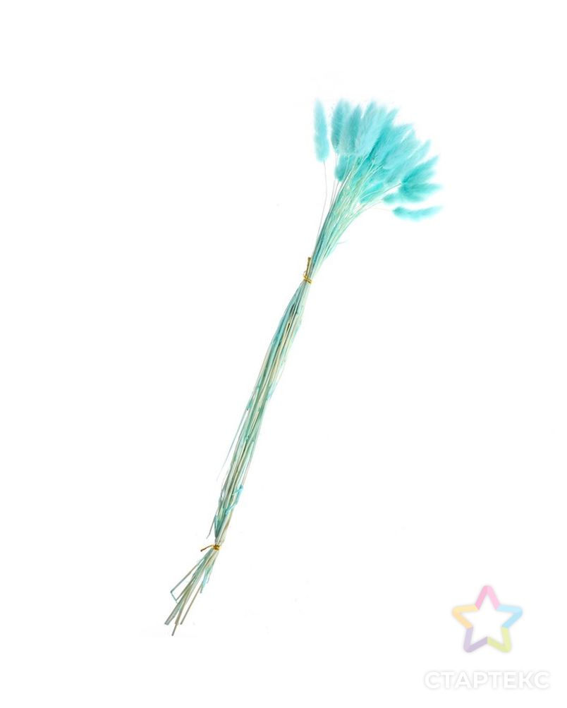Сухие цветы лагуруса, набор 30 шт, цвет голубой арт. СМЛ-216009-1-СМЛ0007123628 3