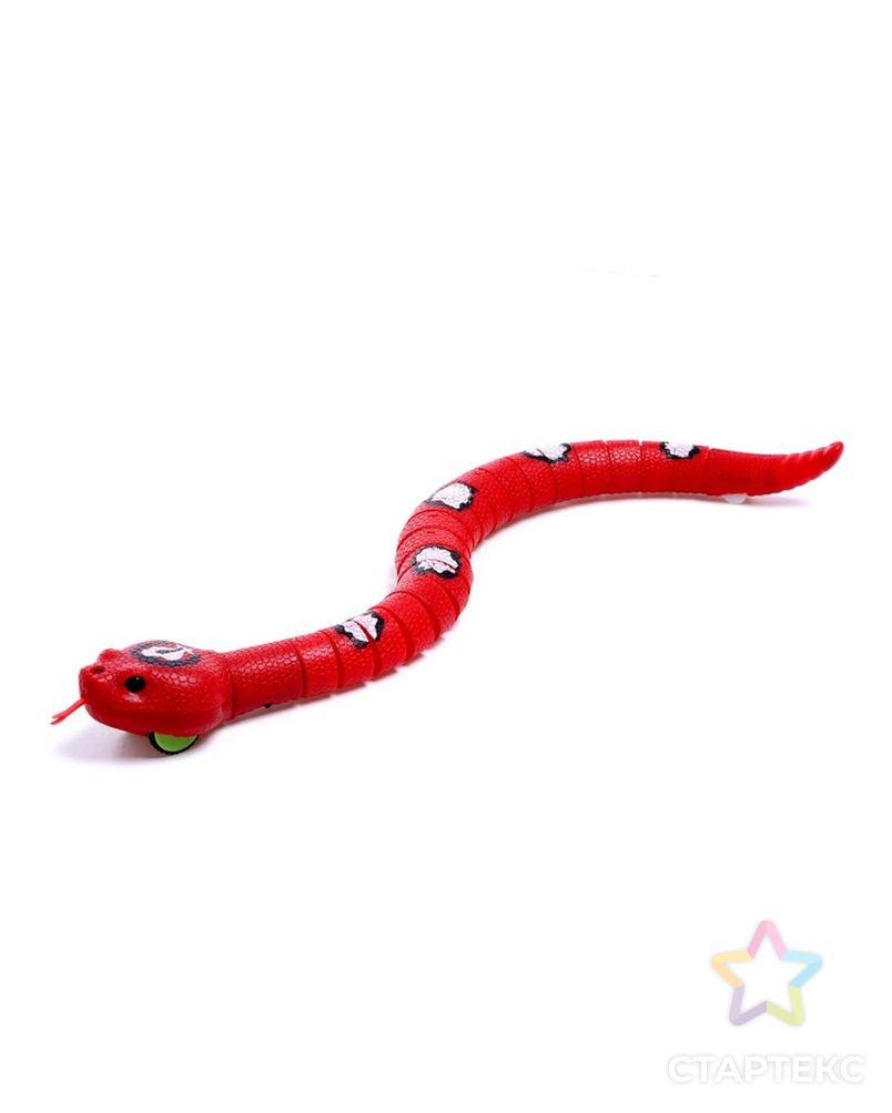 Змея радиоуправляемая "Джунгли", работает от аккумулятора, цвет красный арт. СМЛ-212396-1-СМЛ0007137053 2