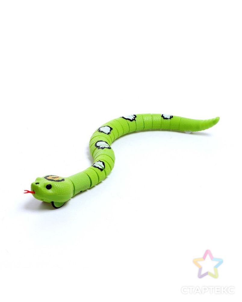 Змея радиоуправляемая "Джунгли", работает от аккумулятора, цвет зеленый арт. СМЛ-212397-1-СМЛ0007137054 2