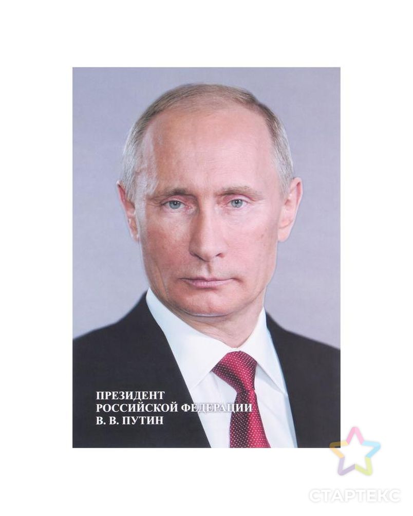 Плакат "Портрет Президента РФ" А4 арт. СМЛ-162435-1-СМЛ0007141963 1