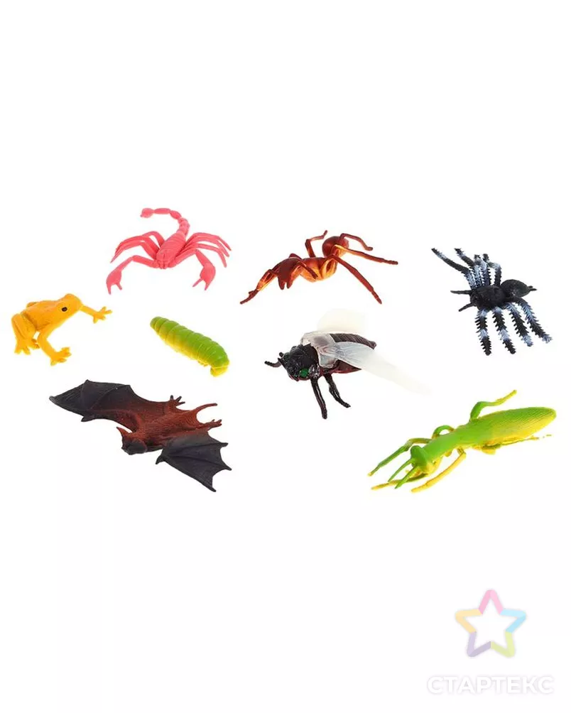 Насекомые с названиями для детей. Насекомые картинки. Домашние насекомые питомцы. Животные насекомые на а. Видовые названия насекомых.