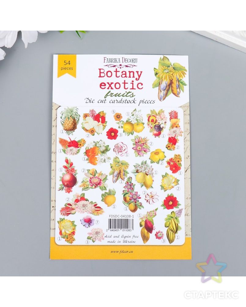 Набор высечек "Botany exotic fruits" 54 шт арт. СМЛ-194361-1-СМЛ0007149955 5