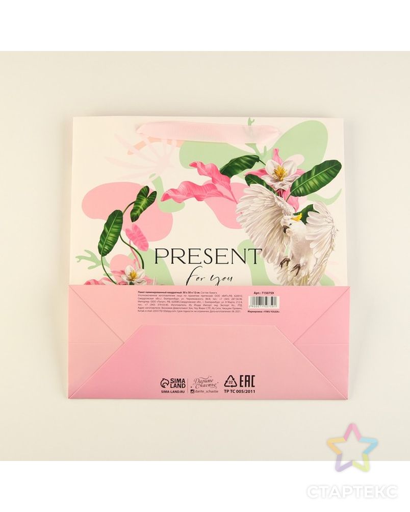 Пакет ламинированный квадратный Present for you, 30 × 30 × 12 см арт. СМЛ-202375-1-СМЛ0007150759 5