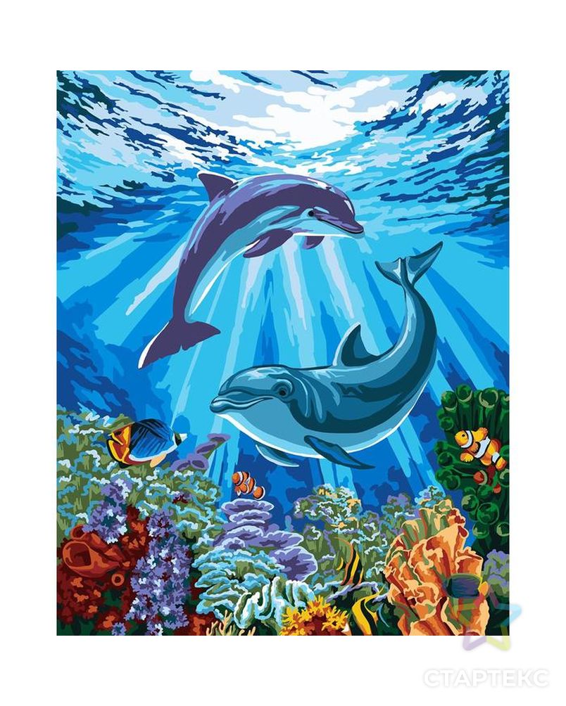 Картина по номерам на холсте с подрамником «Дельфины-друзья» 40х50 см арт. СМЛ-210683-1-СМЛ0007153385 1