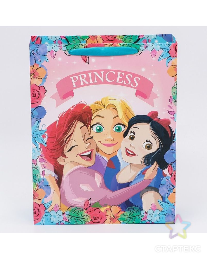 Пакет подарочный "Princess", Принцессы, 31х40х11,5 см арт. СМЛ-214563-1-СМЛ0007153507 1