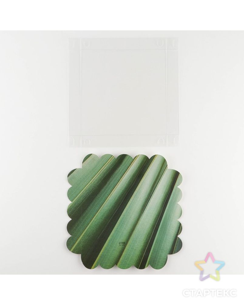 Коробка для кондитерских изделий с PVC крышкой «Эко», 18 × 18 × 3 см арт. СМЛ-229304-1-СМЛ0007155190 5