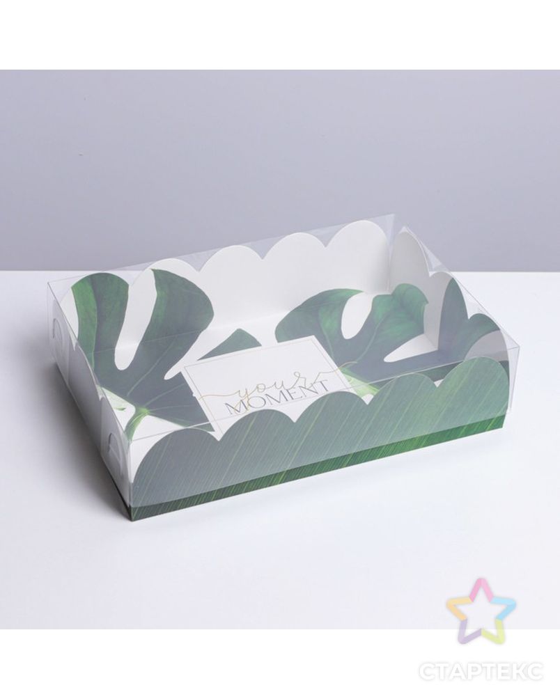 Коробка для кондитерских изделий с PVC крышкой «Эко», 20 × 30 × 8 см арт. СМЛ-192114-1-СМЛ0007155207 1