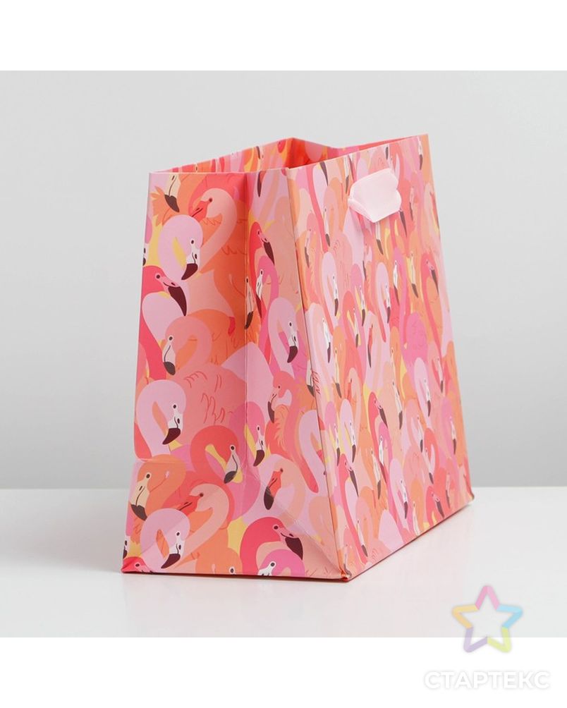 Пакет ламинированный вертикальный «Фламинго», MS 18 × 23 × 10 см арт. СМЛ-230435-1-СМЛ0007164757 2