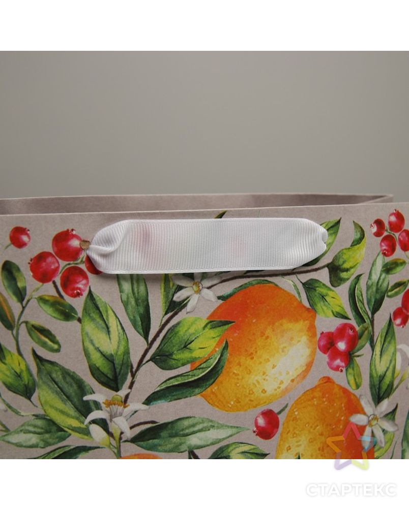 Пакет крафтовый подарочный «Лето», 22 × 17,5 × 8 см арт. СМЛ-202381-1-СМЛ0007188201 4