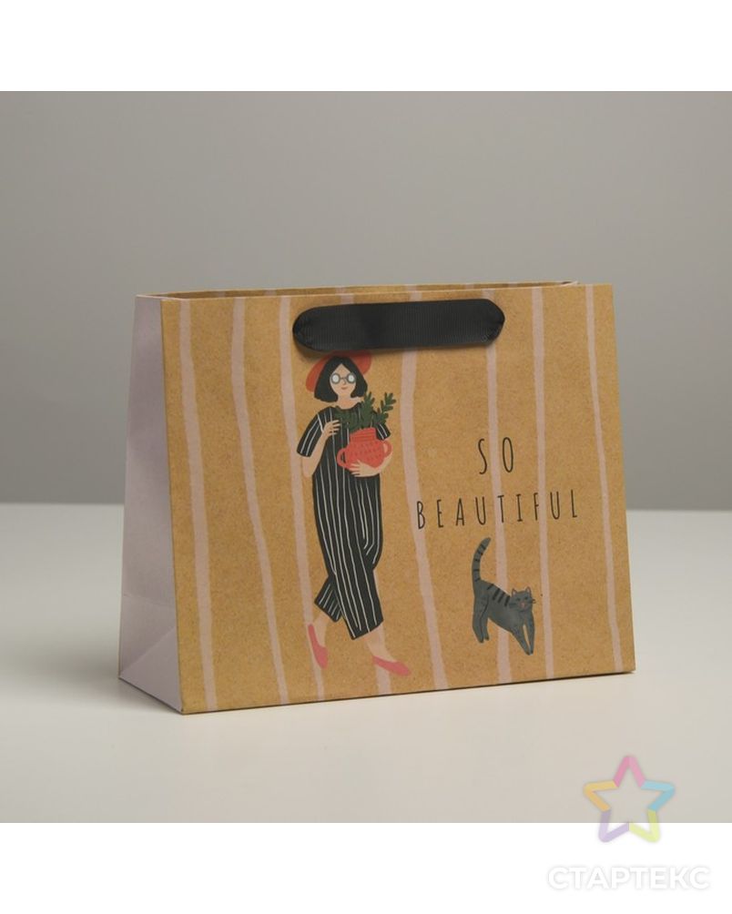 Пакет крафтовый подарочный Cat, 22 × 17,5 × 8 см арт. СМЛ-202388-1-СМЛ0007188217 1