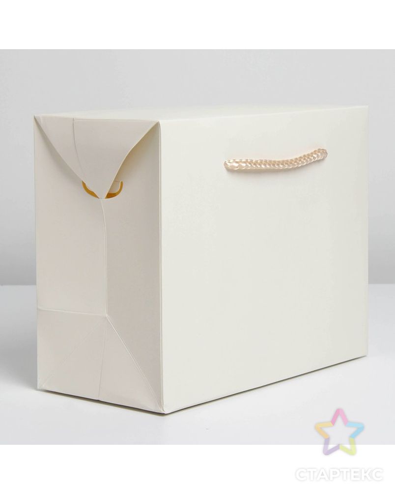 Пакет—коробка «Молочный», 28 × 20 × 13 см арт. СМЛ-222855-1-СМЛ0007303845 3