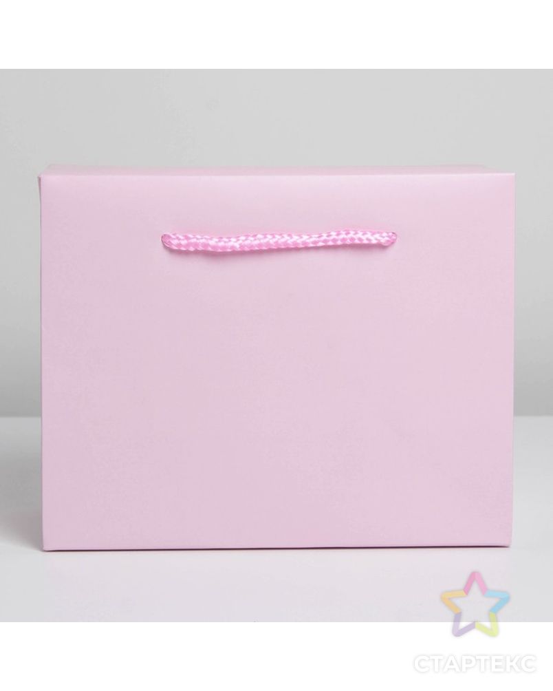 Пакет—коробка «Розовый», 23 × 18 × 11 см арт. СМЛ-222857-1-СМЛ0007303848 2