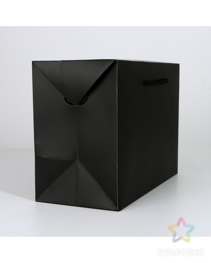 Пакет—коробка «Чёрный», 23 × 18 × 11 см арт. СМЛ-223321-1-СМЛ0007303854 2