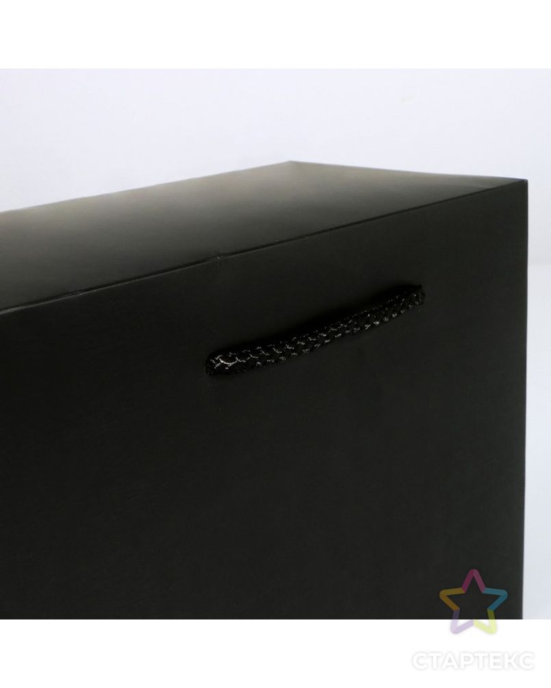 Пакет—коробка «Чёрный», 23 × 18 × 11 см арт. СМЛ-223321-1-СМЛ0007303854 3