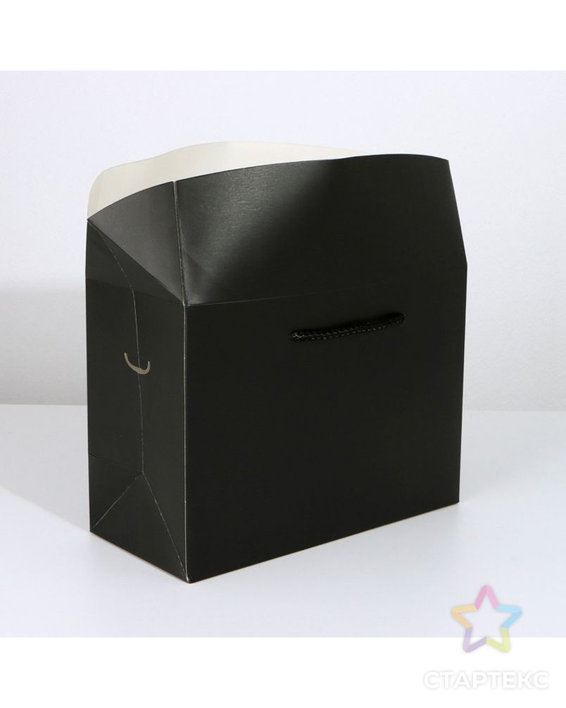 Пакет—коробка «Чёрный», 23 × 18 × 11 см арт. СМЛ-223321-1-СМЛ0007303854 4