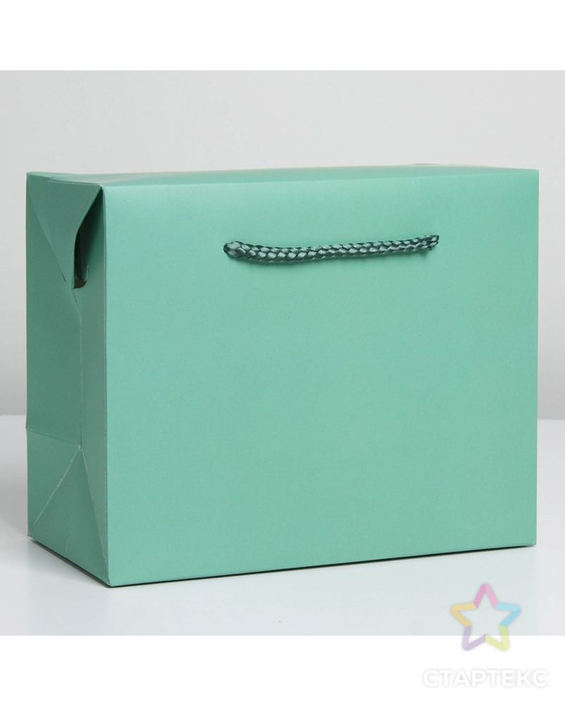 Пакет—коробка «Тиффани», 28 × 20 × 13 см арт. СМЛ-222863-1-СМЛ0007303857 1