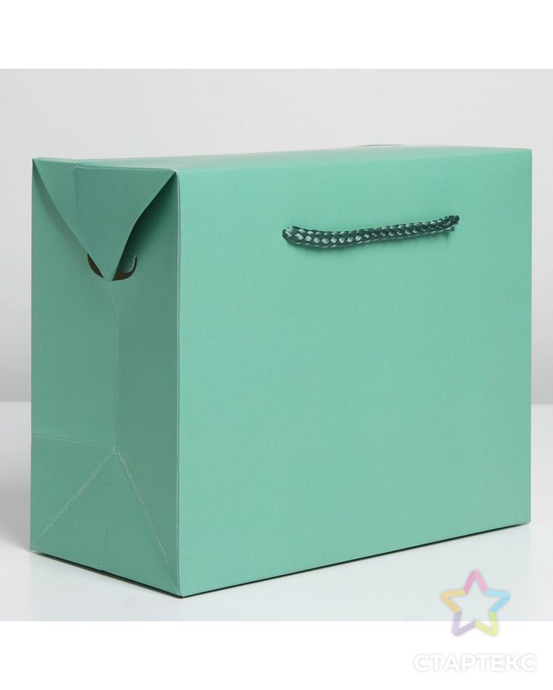 Пакет—коробка «Тиффани», 28 × 20 × 13 см арт. СМЛ-222863-1-СМЛ0007303857 3
