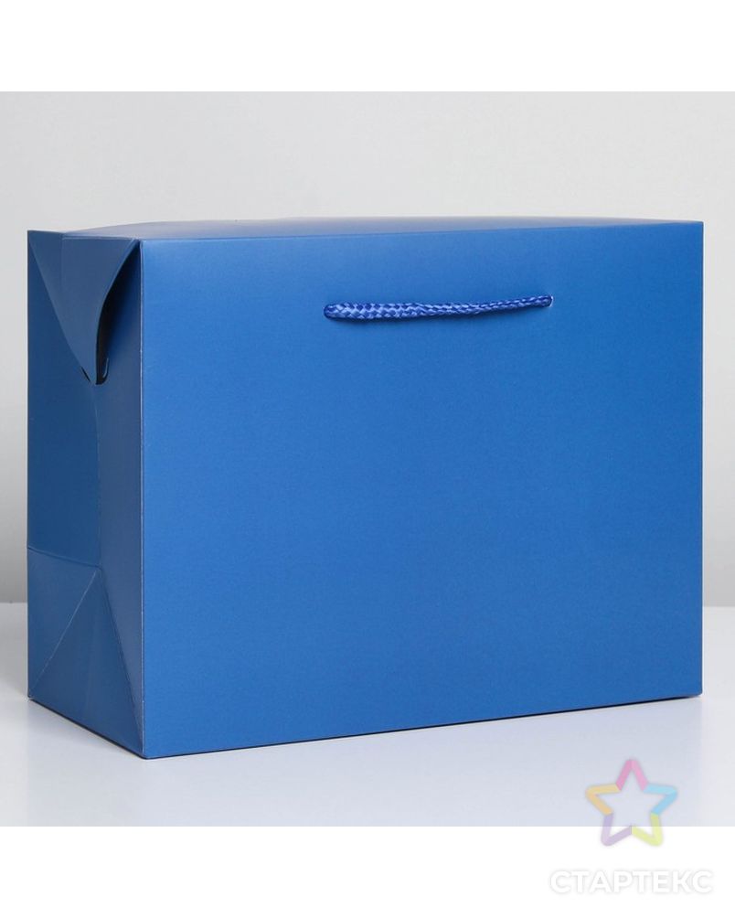 Пакет—коробка «Синий», 28 × 20 × 13 см арт. СМЛ-222864-1-СМЛ0007303858 1