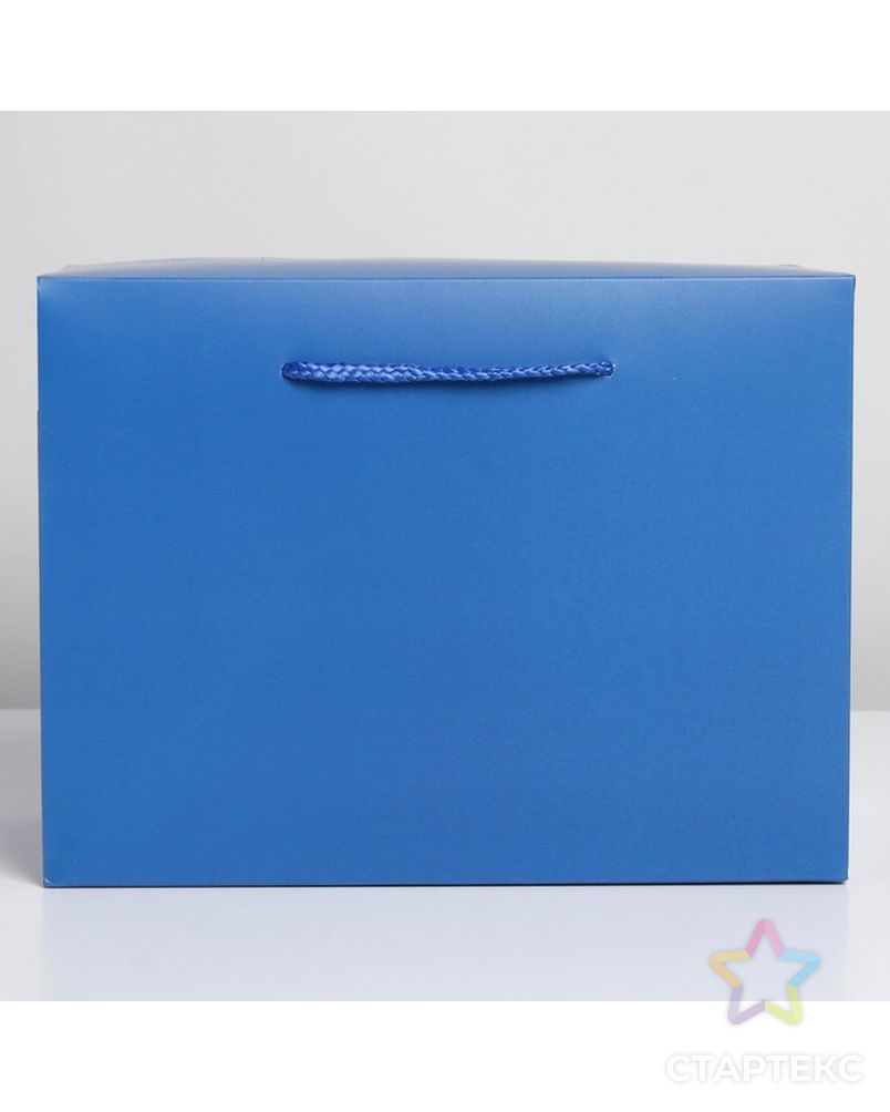 Пакет—коробка «Синий», 28 × 20 × 13 см арт. СМЛ-222864-1-СМЛ0007303858 2