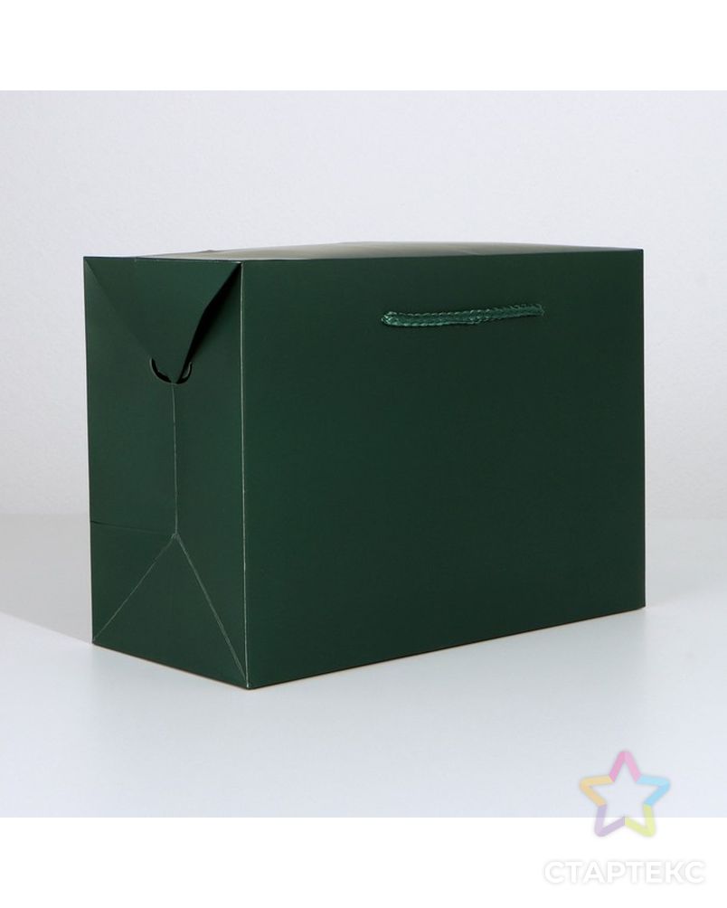 Пакет—коробка «Изумрудный», 28 × 20 × 13 см арт. СМЛ-223301-1-СМЛ0007303859 1