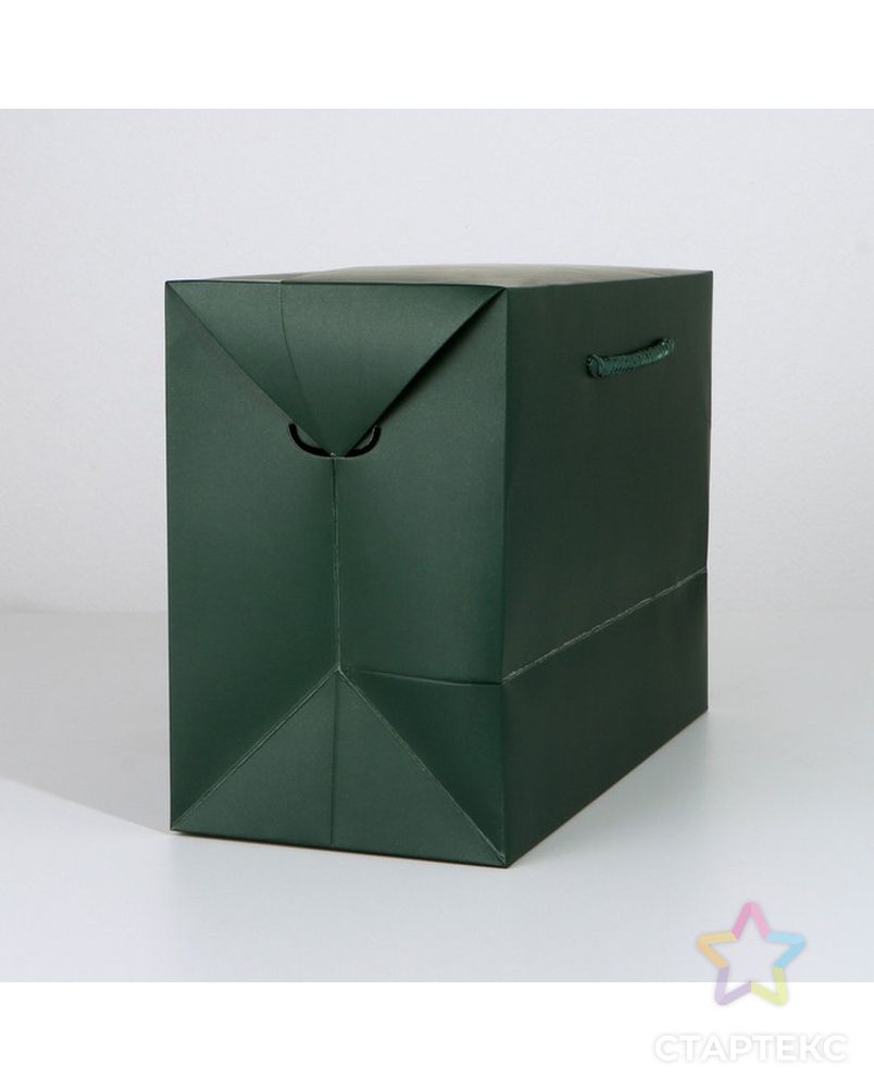 Пакет—коробка «Изумрудный», 28 × 20 × 13 см арт. СМЛ-223301-1-СМЛ0007303859 2