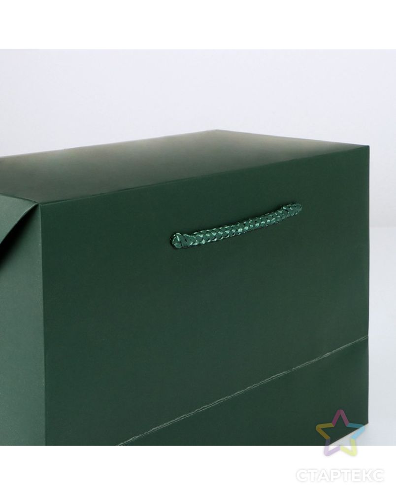 Пакет—коробка «Изумрудный», 28 × 20 × 13 см арт. СМЛ-223301-1-СМЛ0007303859 3