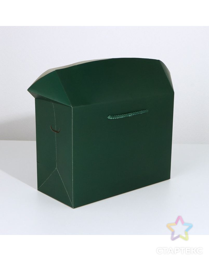 Пакет—коробка «Изумрудный», 28 × 20 × 13 см арт. СМЛ-223301-1-СМЛ0007303859 4
