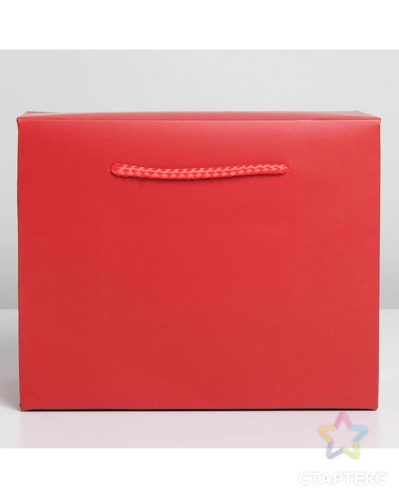 Пакет—коробка «Красный», 28 × 20 × 13 см арт. СМЛ-222865-1-СМЛ0007303861 2