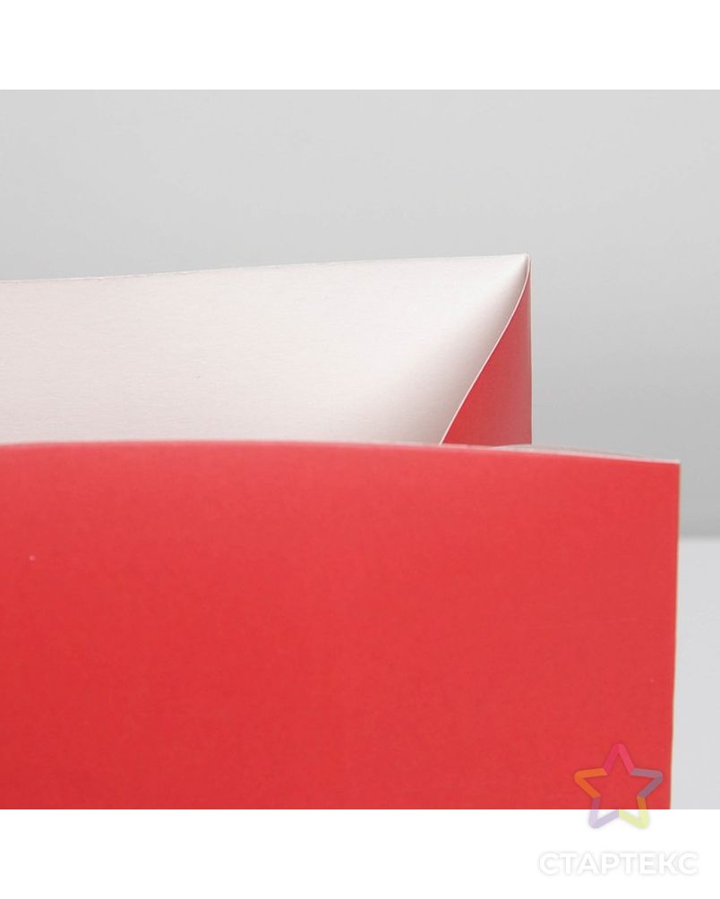 Пакет—коробка «Красный», 28 × 20 × 13 см арт. СМЛ-222865-1-СМЛ0007303861 4