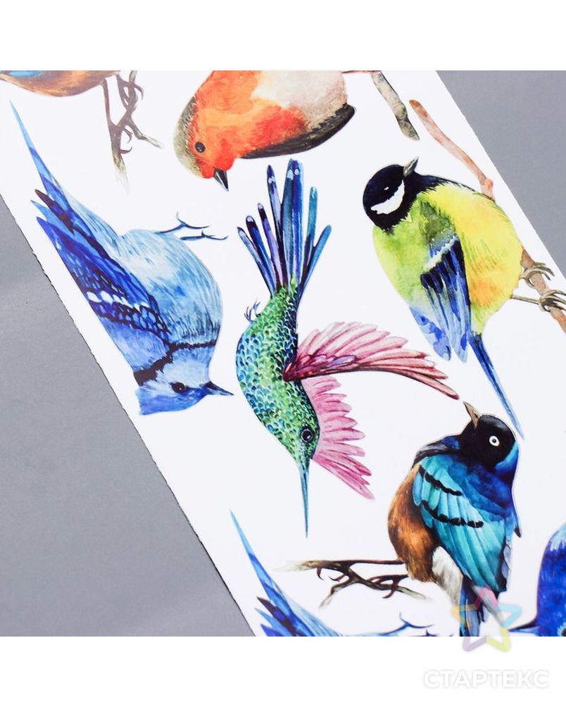 Интерьерные наклейки "Птицы" 23х100 см разноцветный арт. СМЛ-217816-1-СМЛ0007313727