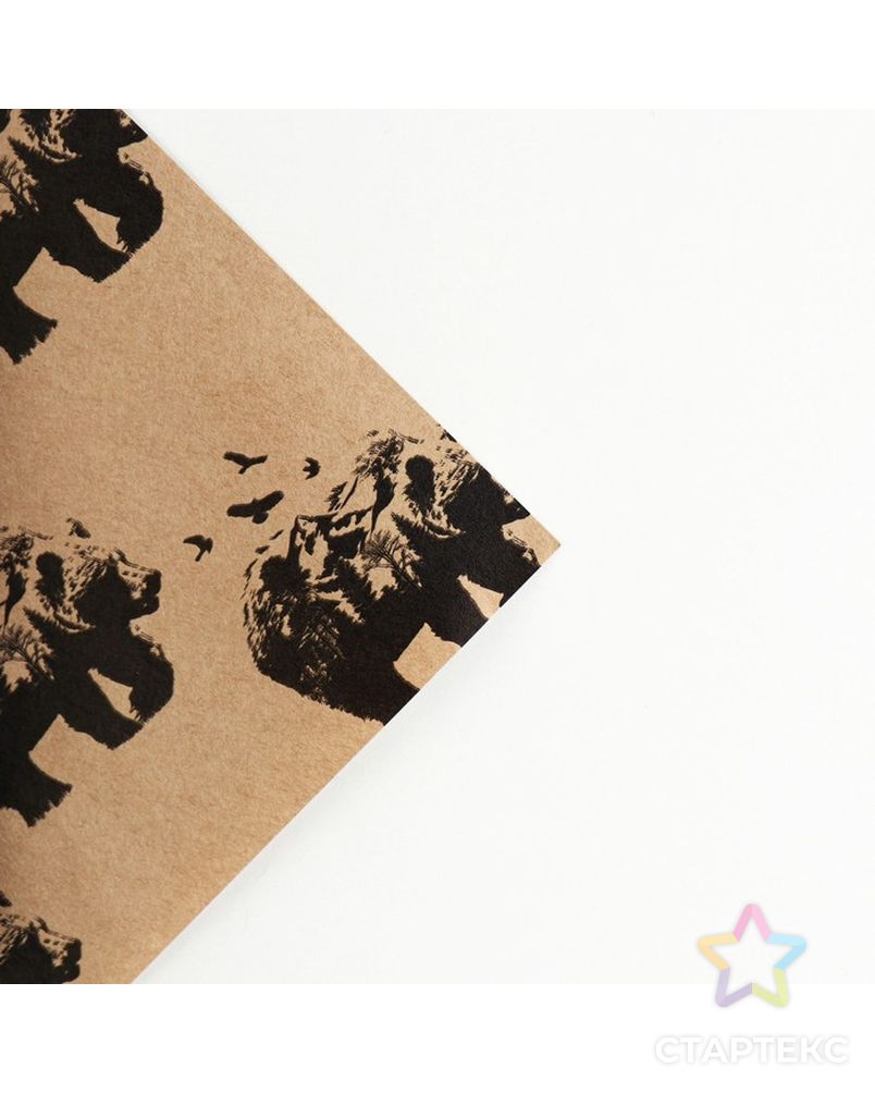 Бумага упаковочная крафтовая Bear , 70 × 100 см арт. СМЛ-200752-1-СМЛ0007315878 2