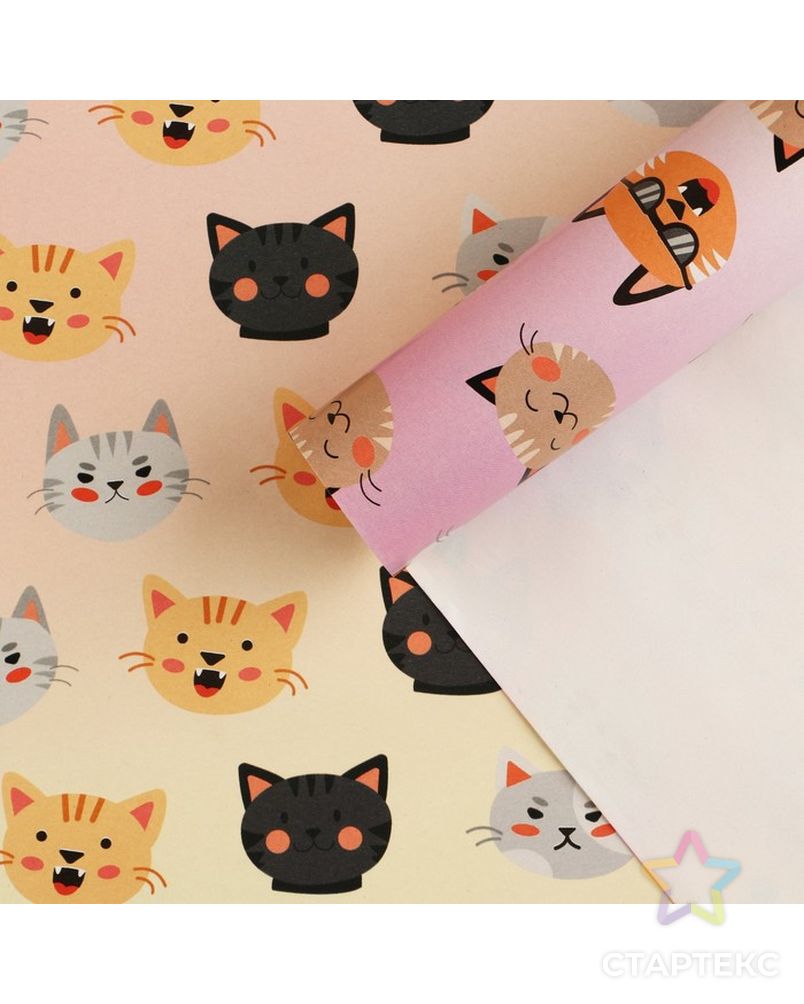 Кот 70 см. Упаковочная бумага с котиками. котики из бумаги с одеждой. бумажные котята с одеждой.