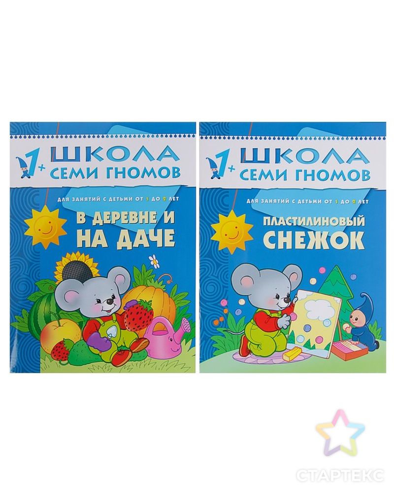 Полный годовой курс от 1 до 2 лет. 12 книг с картонной вкладкой. Денисова Д. арт. СМЛ-102251-1-СМЛ0000735889 7