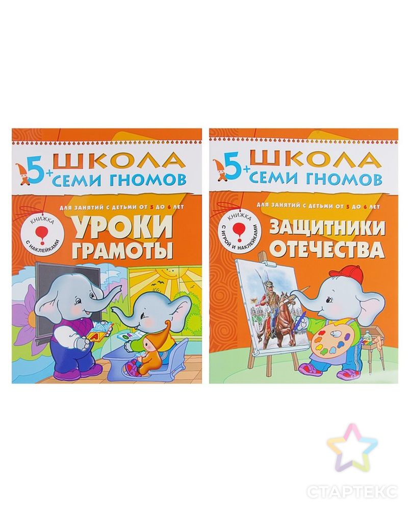 Полный годовой курс от 5 до 6 лет. 12 книг с играми и наклейками. Денисова Д. арт. СМЛ-102253-1-СМЛ0000735893 3