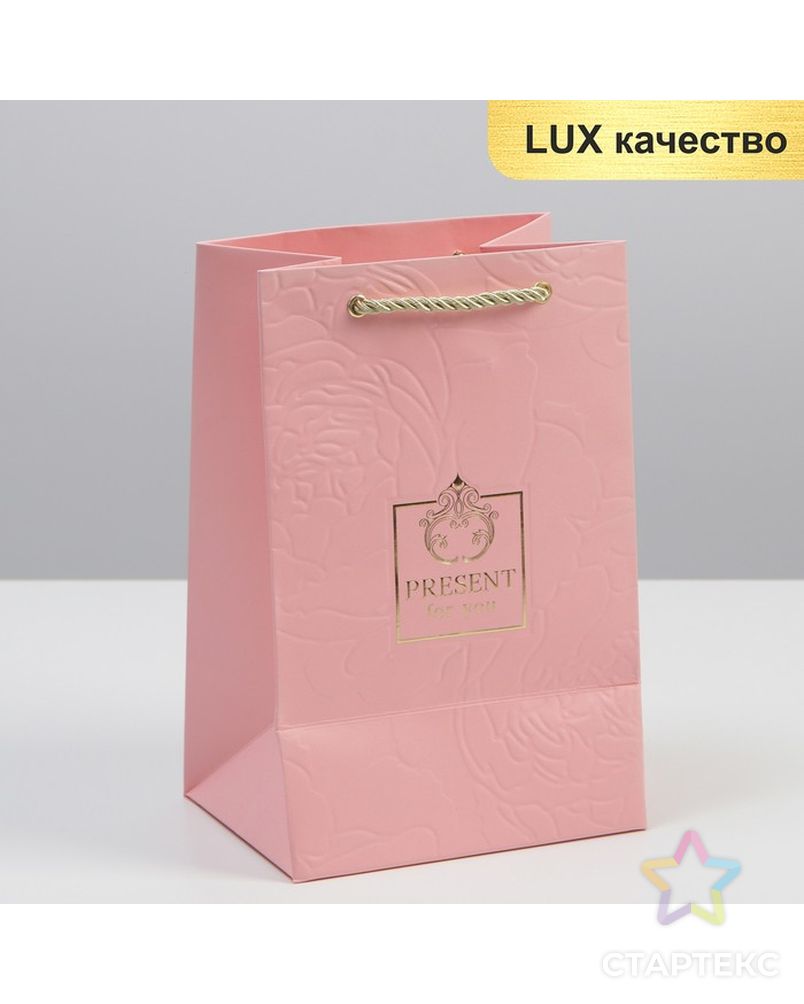 Пакет ламинированный Present for you, 15 × 23 × 11,5 см арт. СМЛ-227876-1-СМЛ0007360947 1